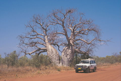 Gibb River Road - Accommodation Kalgoorlie 2