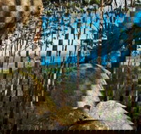 Gulaga Mountain Walk - Accommodation Kalgoorlie