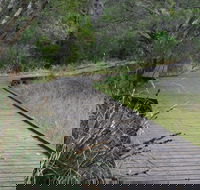 Leschenault Peninsula Conservation Park - Accommodation Kalgoorlie