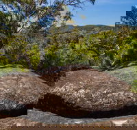 Marramarra Ridge to Smugglers Ridge walking track - Accommodation Kalgoorlie