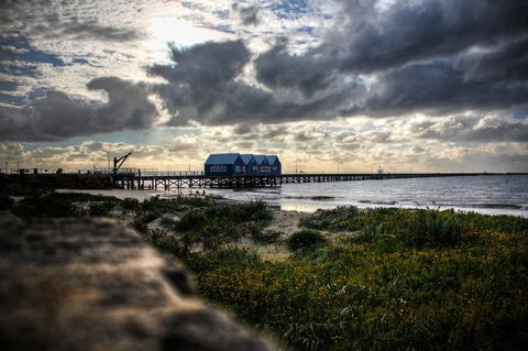 Marine Life Encounters - Accommodation Kalgoorlie 2