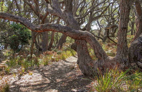 Middle Lagoon Walking Track - Accommodation Kalgoorlie 0