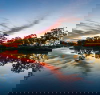 Mitchell - Accommodation Kalgoorlie