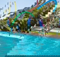 Oaklands War Memorial Swimming Pool - Accommodation Kalgoorlie