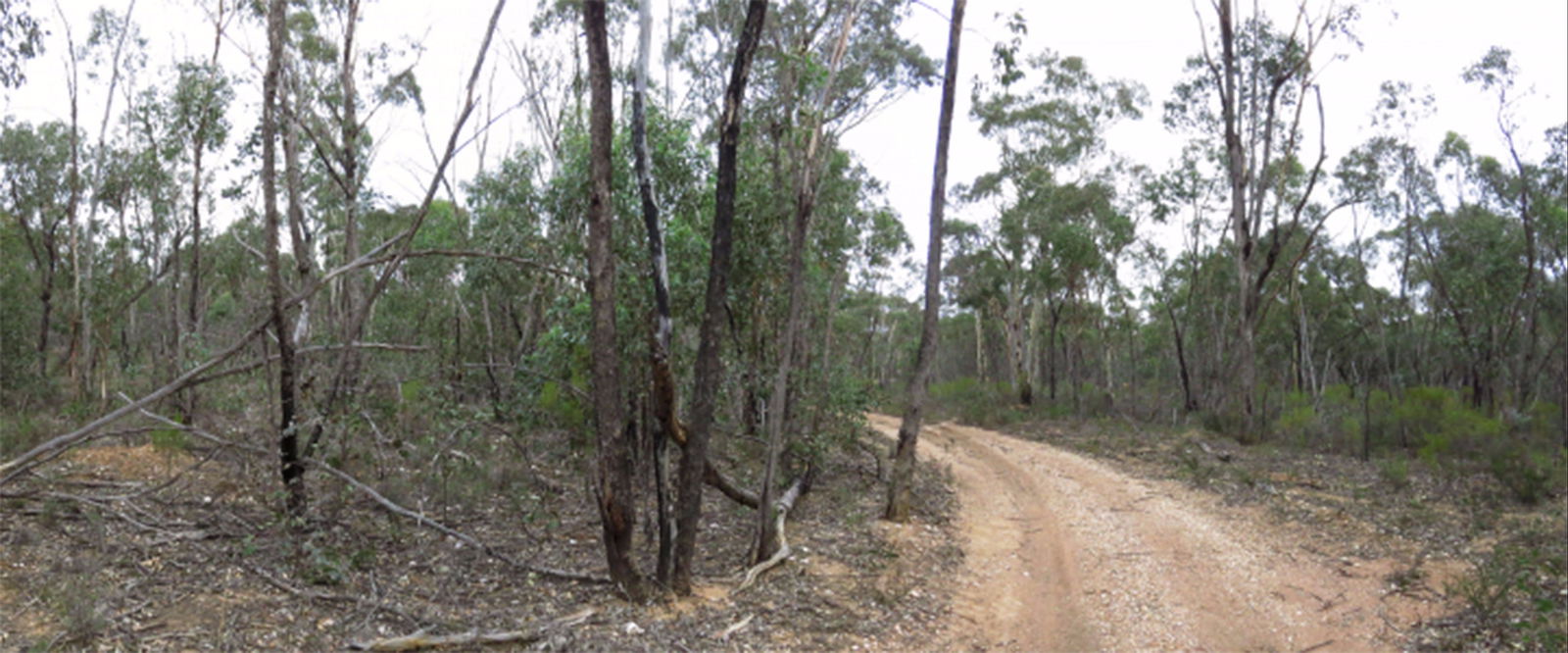 Adelaide Lead VIC Accommodation Kalgoorlie