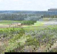 Princess Hills Girringun National Park