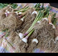 Queanbeyan Park Market - Accommodation Kalgoorlie