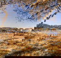 Rennix walking track - Accommodation Kalgoorlie