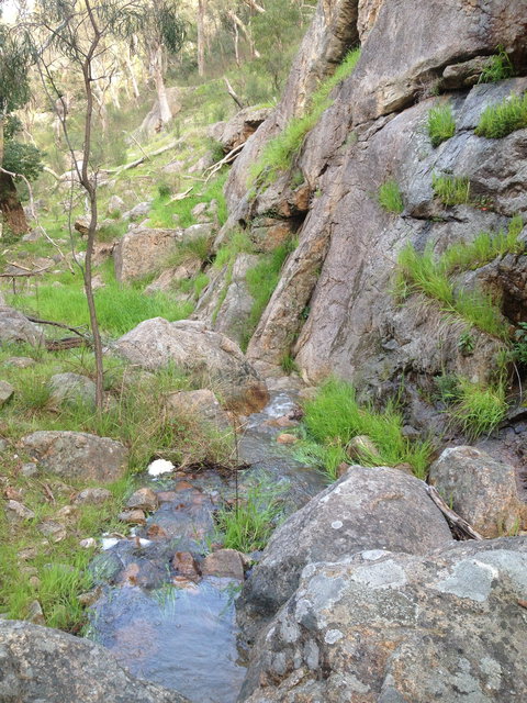 Salisbury Falls Walk - Accommodation Kalgoorlie 2