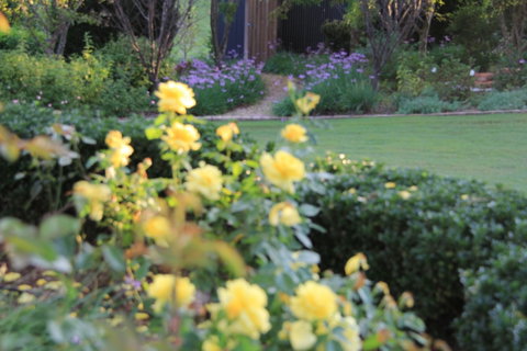 The Bath House Garden - Accommodation Kalgoorlie 1