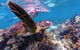 The Coral Coast Highway - thumb 1