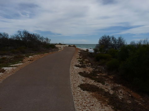 Turquoise Way Trail, Jurien Bay - Accommodation Kalgoorlie 0