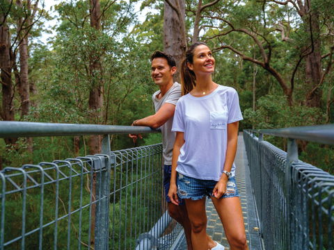 Valley Of The Giants Tree Top Walk - Accommodation Kalgoorlie 0