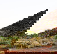 Whyalla Conservation Park - Accommodation Kalgoorlie