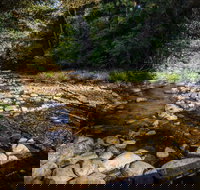 Wilson River picnic area - Accommodation Kalgoorlie