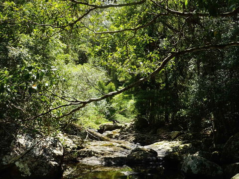 Witta - Accommodation Kalgoorlie 0