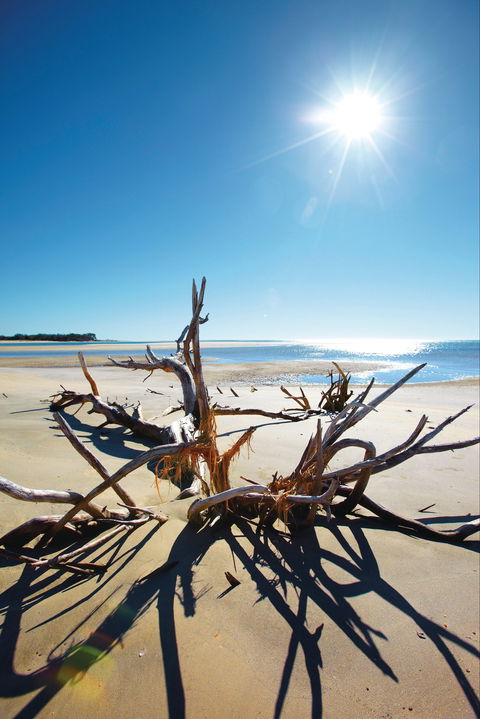 Woodgate Beach Park And Playground - Accommodation Kalgoorlie 1