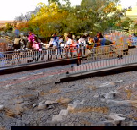 Australian Age of Dinosaurs - Accommodation Kalgoorlie