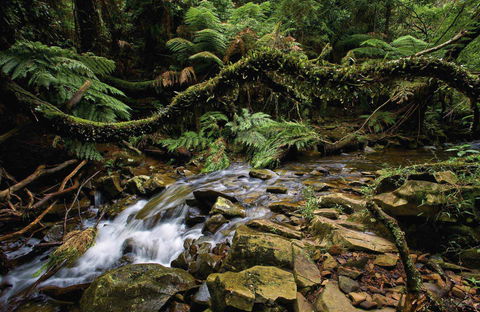 Budderoo National Park - Accommodation Kalgoorlie 0
