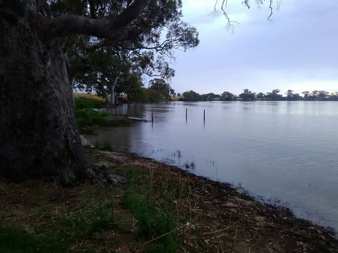 Cockatoo Lake Recreation Reserve - Accommodation Kalgoorlie 1
