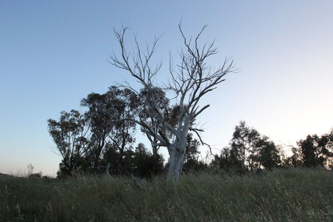 Cooleman Ridge - Accommodation Kalgoorlie 1