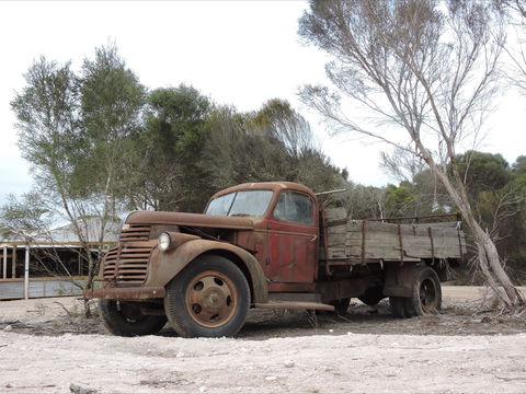 Emu Ridge Eucalyptus Pty Ltd - Accommodation Kalgoorlie 2