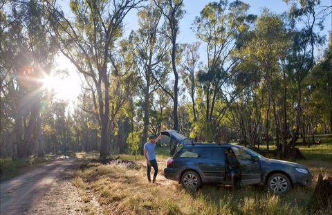 Forest Drive, Murrumbidgee Valley National Park - Accommodation Kalgoorlie 0