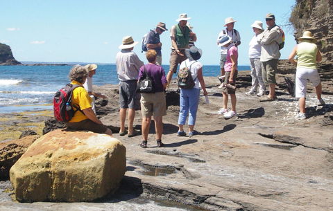 Gondwana Coast Fossil Walk - Accommodation Kalgoorlie 0