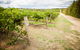 Grove Estate Wines - thumb 0