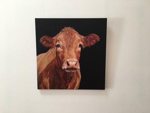 Ivy Hill Gallery - Accommodation Kalgoorlie 2