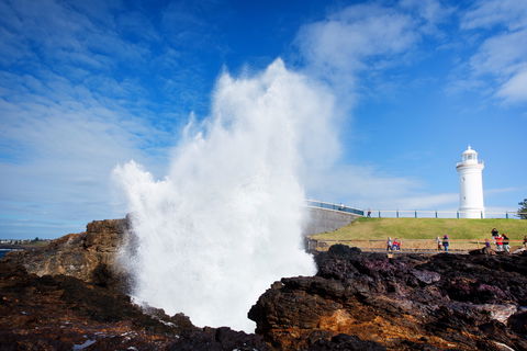 Kiama Blowhole - Accommodation Kalgoorlie 0