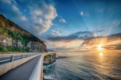 Kramer Photography Rainforest Gallery - Accommodation Kalgoorlie 0