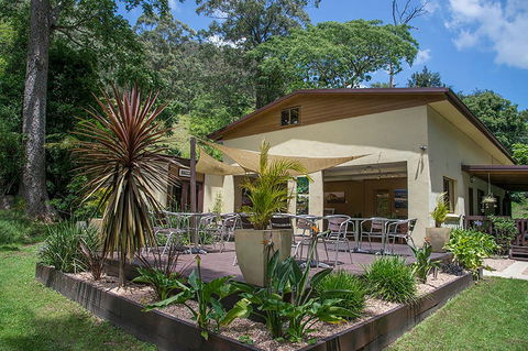 Kramer Photography Rainforest Gallery - Accommodation Kalgoorlie 2