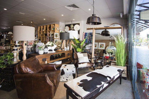 Mary And Tex Curious Emporium - Accommodation Kalgoorlie 0