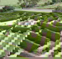 Mintaro Maze - Accommodation Kalgoorlie