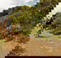 Mountain Biking Trails - Accommodation Kalgoorlie