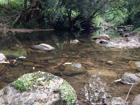 Otford Farm Horse Riding - Accommodation Kalgoorlie 2
