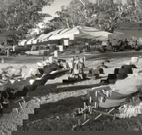 Pioneer Park - Accommodation Kalgoorlie