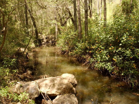 Sandy Creek Track - Accommodation Kalgoorlie 0