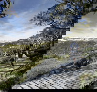 Snow Gums boardwalk - Accommodation Kalgoorlie