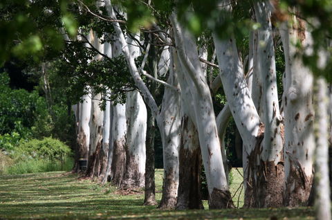 Teven Valley Golf Course - Accommodation Kalgoorlie 1