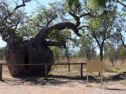 Time Walk, Windjana Gorge National Park - Accommodation Kalgoorlie 2