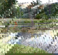 Tumut Wetlands - Accommodation Kalgoorlie