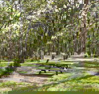 Wollomombi Gorge and Falls Picnic Area - Accommodation Kalgoorlie