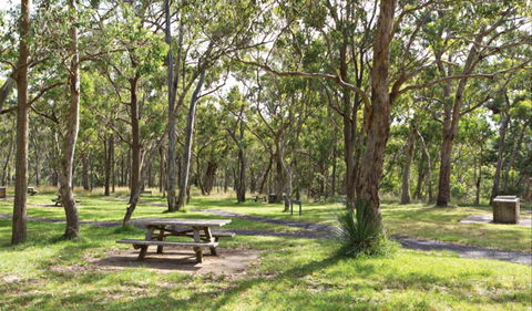 Wollomombi Gorge And Falls Picnic Area - Accommodation Kalgoorlie 0