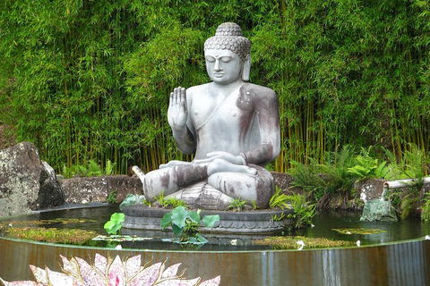 Crystal Castle Shuttle From Byron Bay (full Day) - Accommodation Kalgoorlie 0