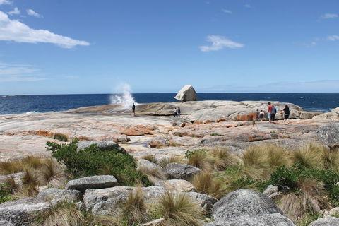 Bicheno Blowhole - Accommodation Kalgoorlie 1