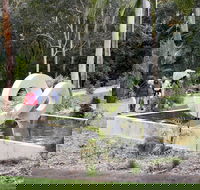 Maroochy Regional Bushland Botanic Garden - Accommodation Kalgoorlie