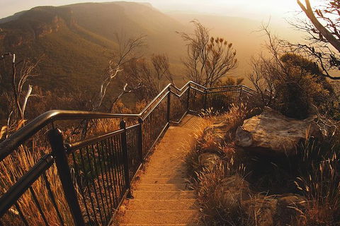 Blue Mountains Vintage Cadillac Tour With Local Guide - Accommodation Kalgoorlie 5