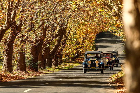 Blue Mountains Vintage Cadillac Tour With Local Guide - Accommodation Kalgoorlie 8